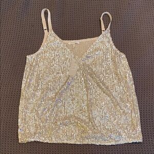Maurices Silver Sequin Top